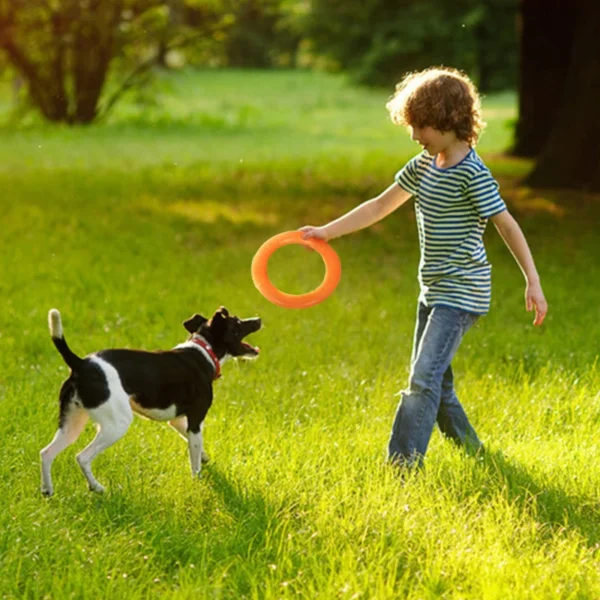 Dog Toy Training Ring Puller Puppy Flying Disk Chewing Toys Outdoor Interactive Toy Dog Game Playing Supplies Zabawki Dla Psa - Image 6