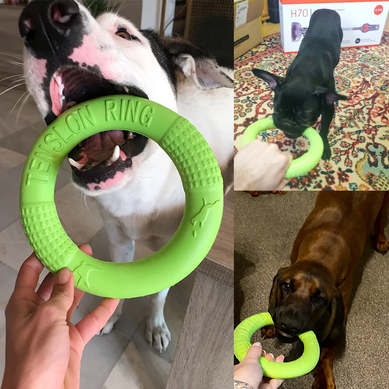 Dog Toy Training Ring Puller Puppy Flying Disk Chewing Toys Outdoor Interactive Toy Dog Game Playing Supplies Zabawki Dla Psa - Image 4