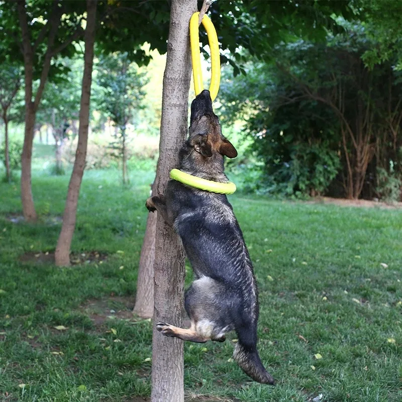 Dog Toy Training Ring Puller Puppy Flying Disk Chewing Toys Outdoor Interactive Toy Dog Game Playing Supplies Zabawki Dla Psa - Image 5